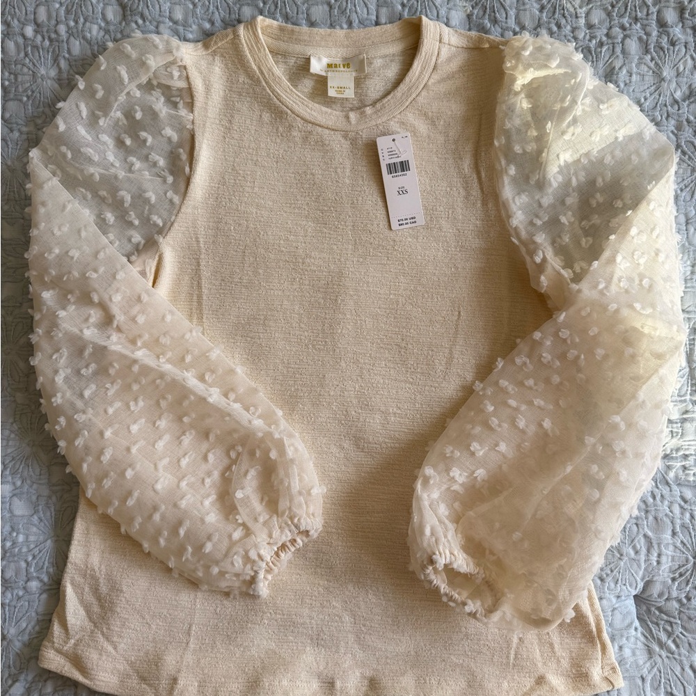 Anthropologie Cream Top with Textured Sheer Sleeves